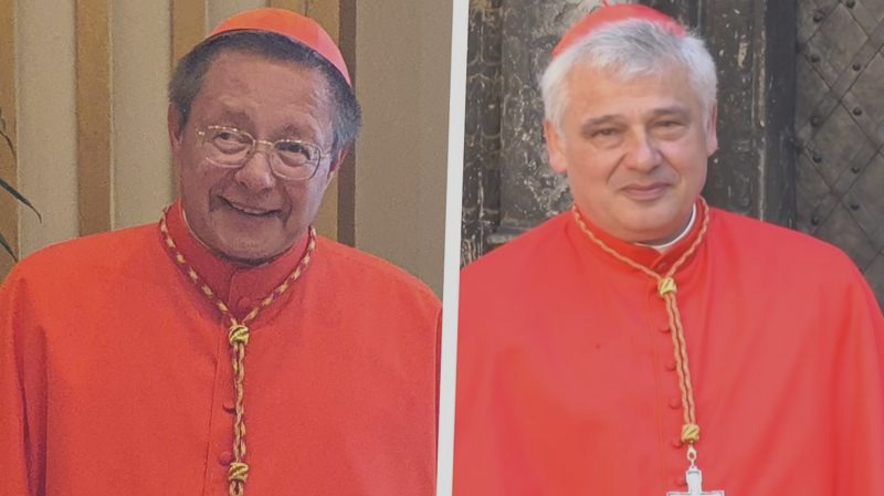 Jałmużnik papieski – czym się zajmuje i komu pomaga?